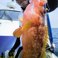 光生丸 釣果