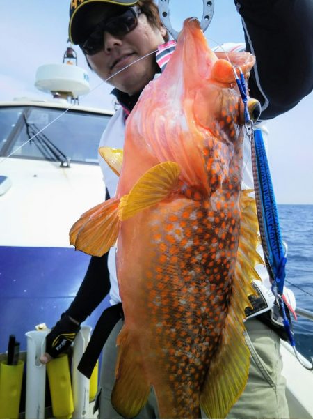 光生丸 釣果