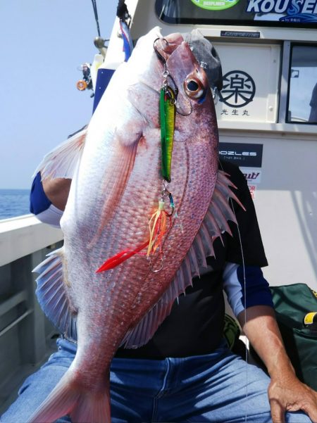 光生丸 釣果