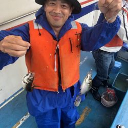 ヤザワ渡船 釣果