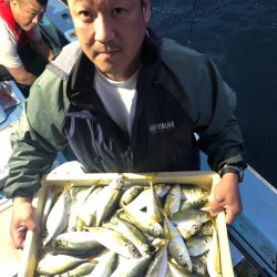 ヤザワ渡船 釣果