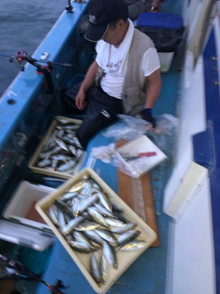 ヤザワ渡船 釣果