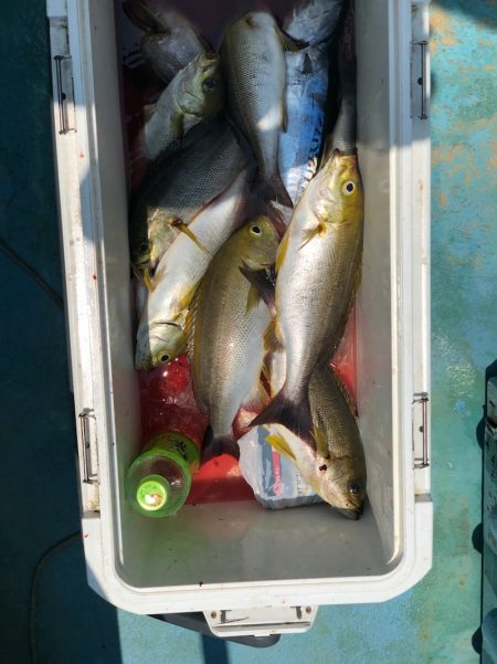 丸万釣船 釣果