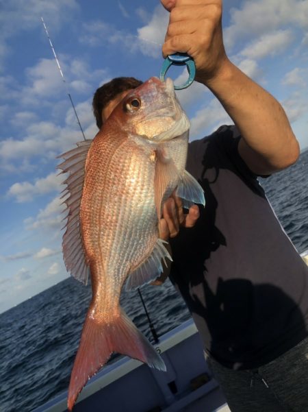 新幸丸 釣果