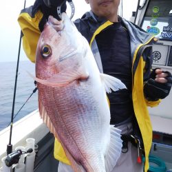 光生丸 釣果