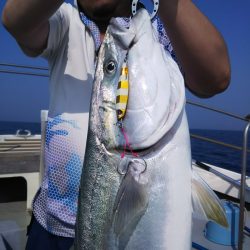 光生丸 釣果