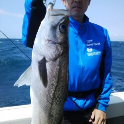 光生丸 釣果