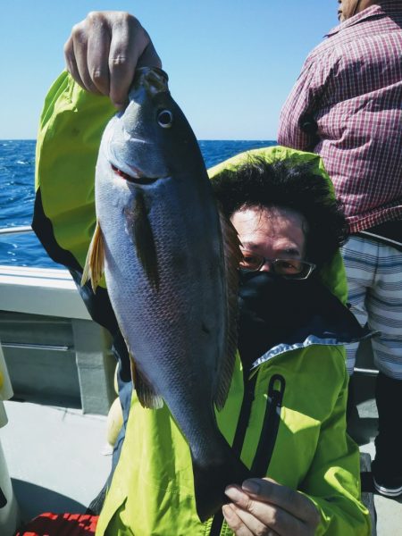 光生丸 釣果