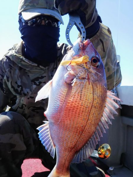 光生丸 釣果