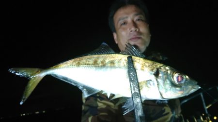 シースナイパー海龍 釣果