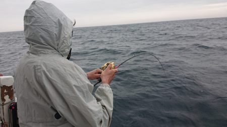 海皇丸 釣果