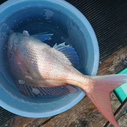 和栄丸 釣果