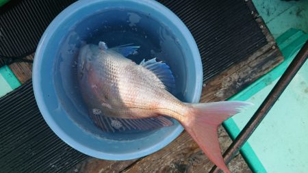 和栄丸 釣果