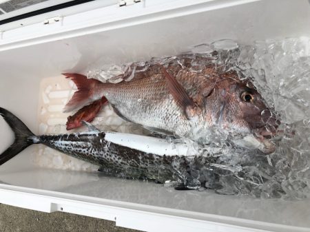 ぽん助丸 釣果