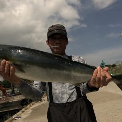 ぽん助丸 釣果