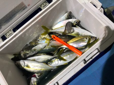 ヤザワ渡船 釣果