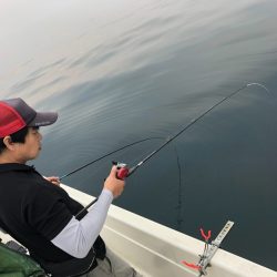 「LaGooN」蒼陽丸 日和号　 釣果