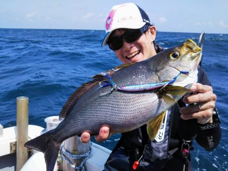 光生丸 釣果