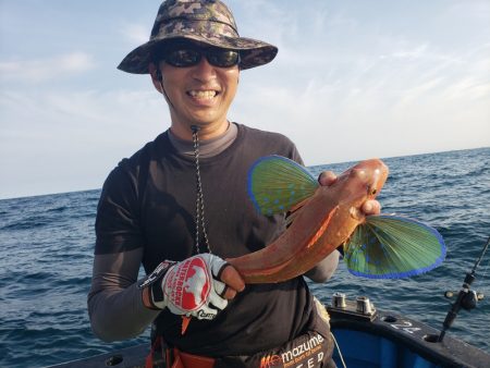 丸万釣船 釣果