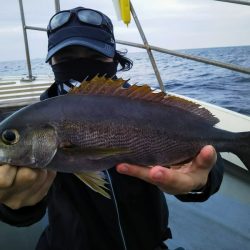 光生丸 釣果