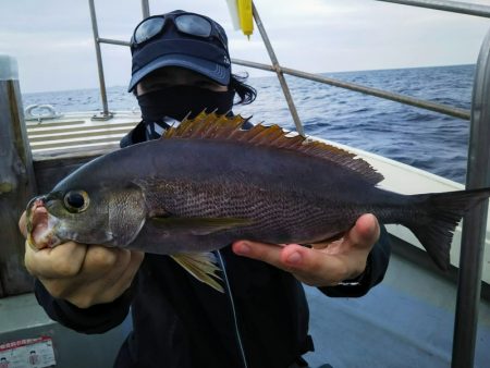 光生丸 釣果