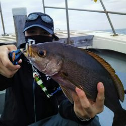 光生丸 釣果