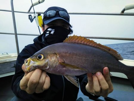 光生丸 釣果