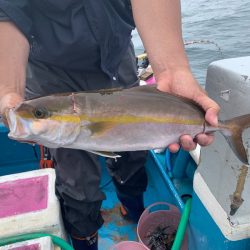 ぽん助丸 釣果