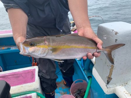 ぽん助丸 釣果