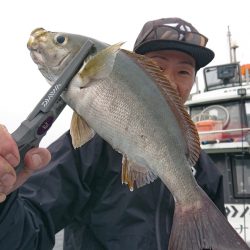 シースナイパー海龍 釣果