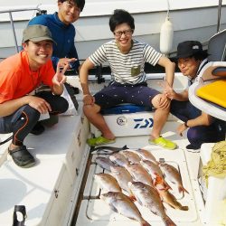 マリンガイド福丸 釣果