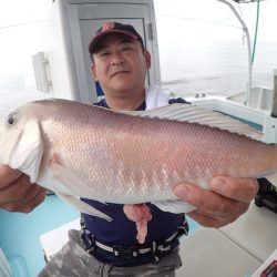 水天丸 釣果