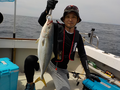 釣船　キティ 釣果