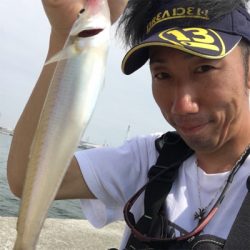 砂浜波止キス釣りへ→多魚種すぎるっ