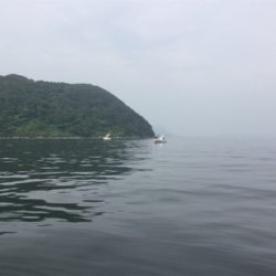 博多湾 タチウオ