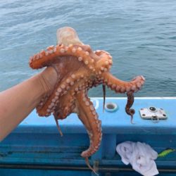 ヤザワ渡船でタコ釣り