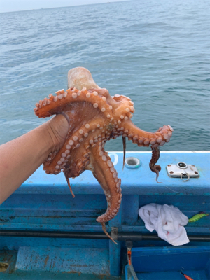 ヤザワ渡船でタコ釣り