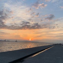 神戸沖突堤でタコ、タチウオ調査