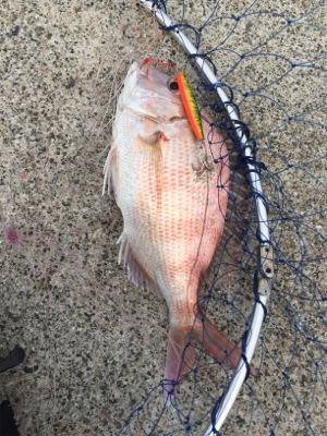 雨の中の釣行