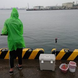 子どもとサビキ釣り