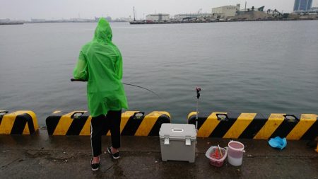 子どもとサビキ釣り