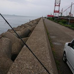 雨の中のオクトパッシング