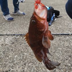 射程距離外でアウト