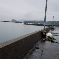 雨があまり降ってない間に