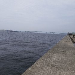 神戸沖堤防