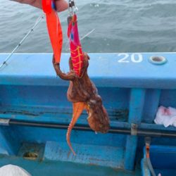 ヤザワ渡船でタコ釣り