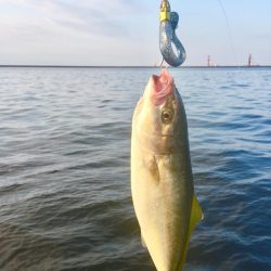 何投げても釣れる