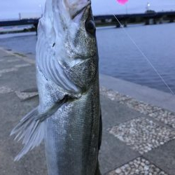 雨上がりはいい