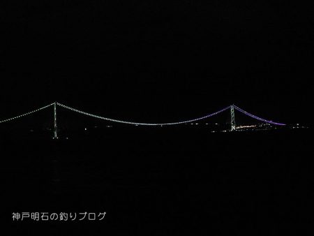 夜のウキ釣り 中サバの数釣り