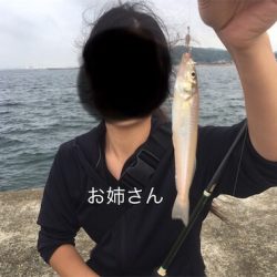 砂浜波止キス釣りへ→多魚種すぎるっ